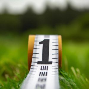 Groomer szczotkuje zadbanego małego psa w nowoczesnym, jasnym salonie, podkreślając profesjonalizm i przyjazną atmosferę.