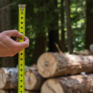 Biegacz w profesjonalnym stroju sportowym wykonujący krok na parkowej ścieżce w słoneczny dzień.